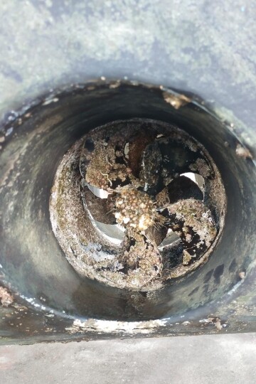 Thruster tunnel and propeller covered in marine growth before cleaning – SailorOne