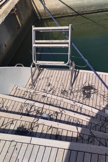 Weathered grey teak on a yacht stern before restoration – SailorOne